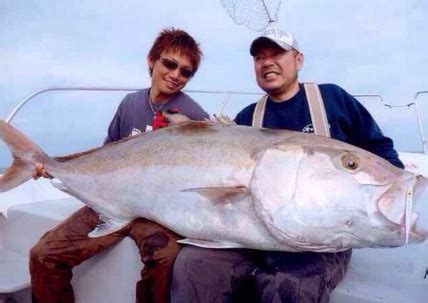 夢到釣到大魚|夢見魚